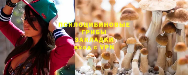 купить закладку  Алагир  OMG   Псилоцибиновые грибы Psilocybe 